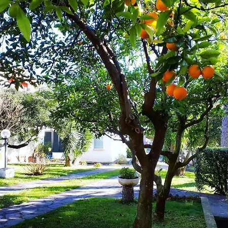 Monolocale Nel Parco Con Piscina